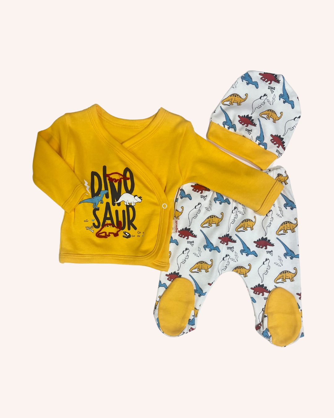Newborn Dinosaur Set