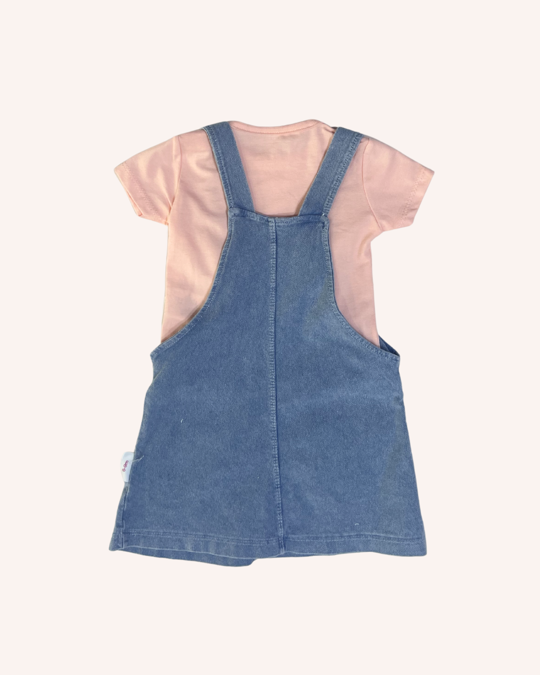 Bees Denim Dress