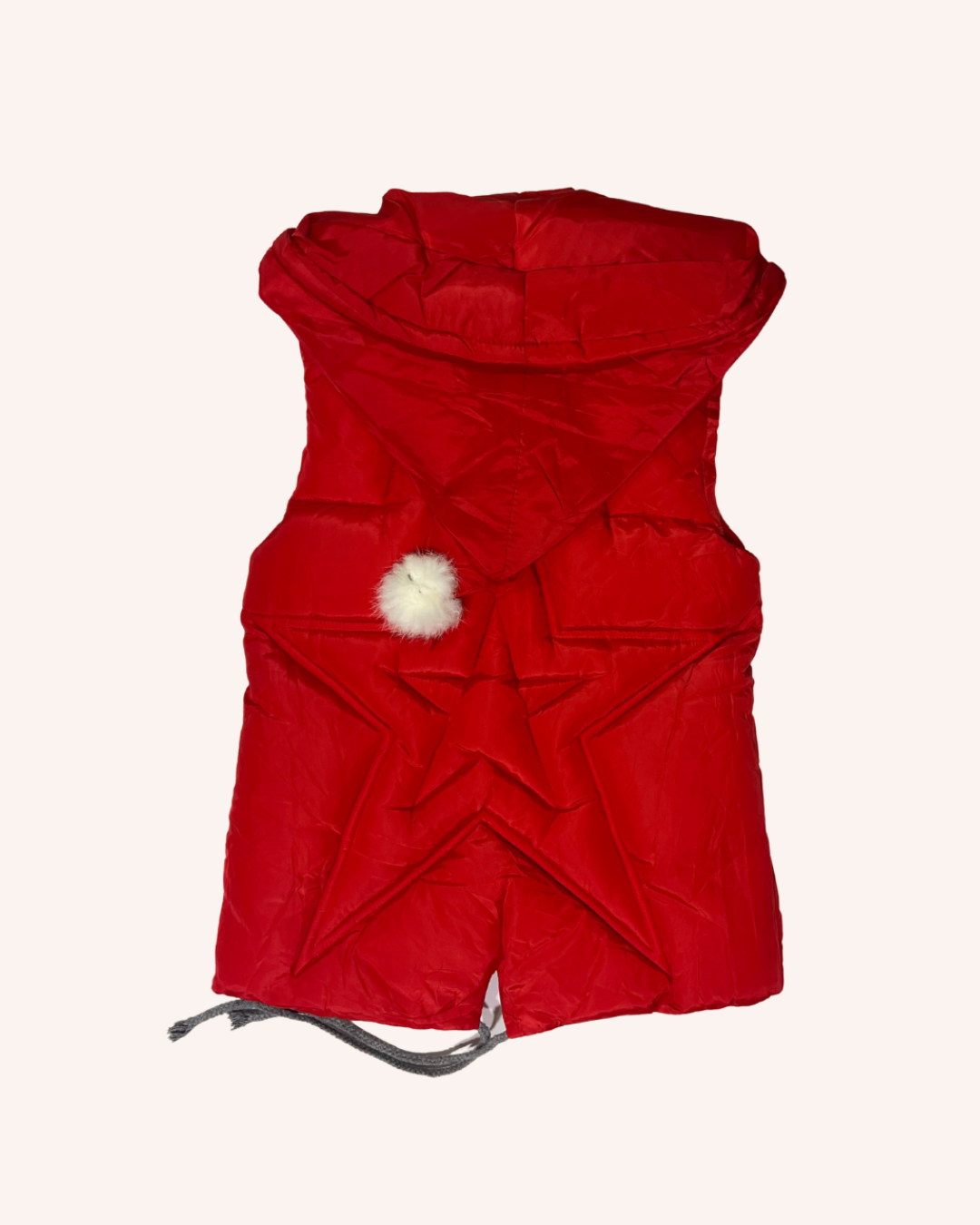 Waterproof Hooded Vest