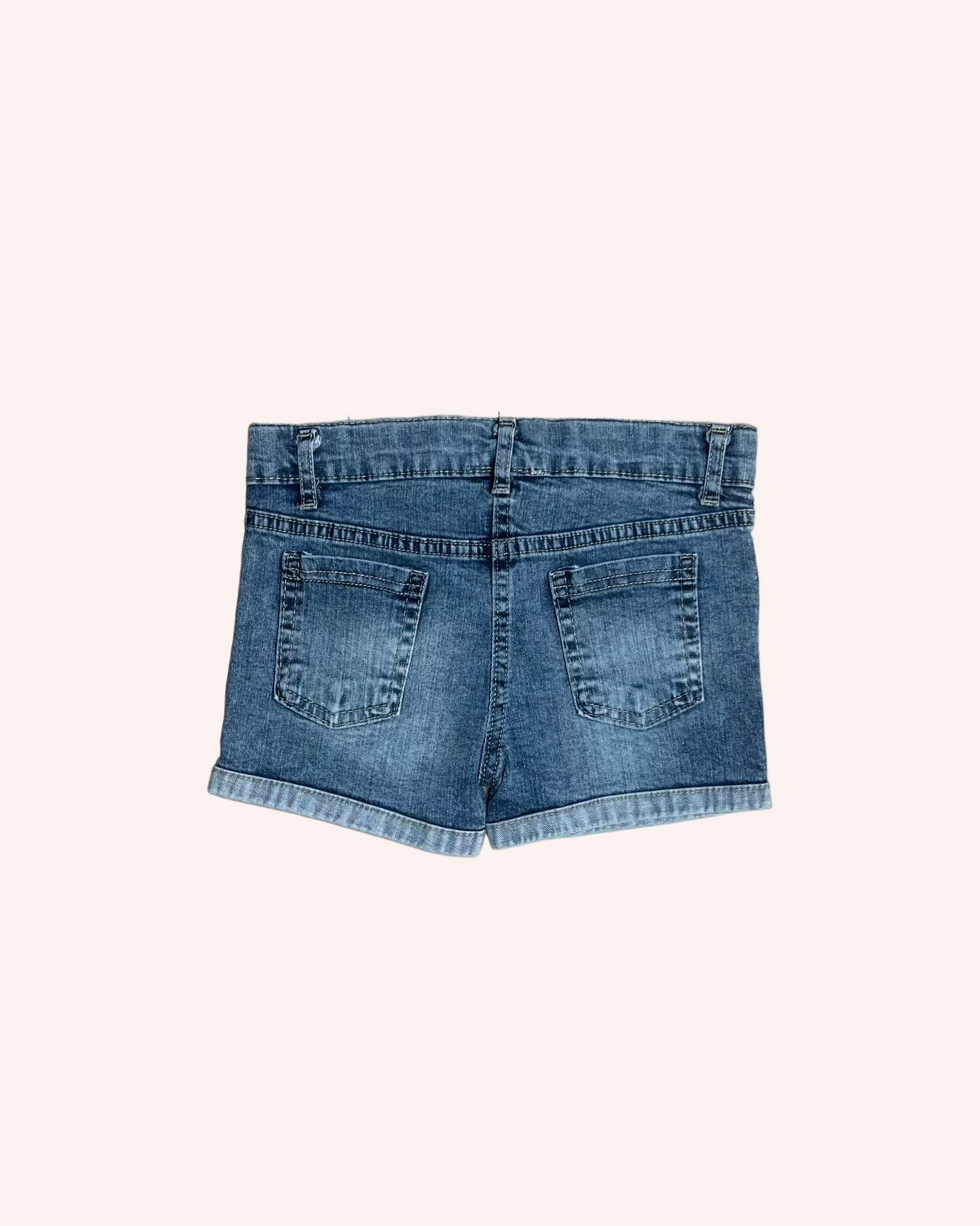 Embroidered Denim Shorts