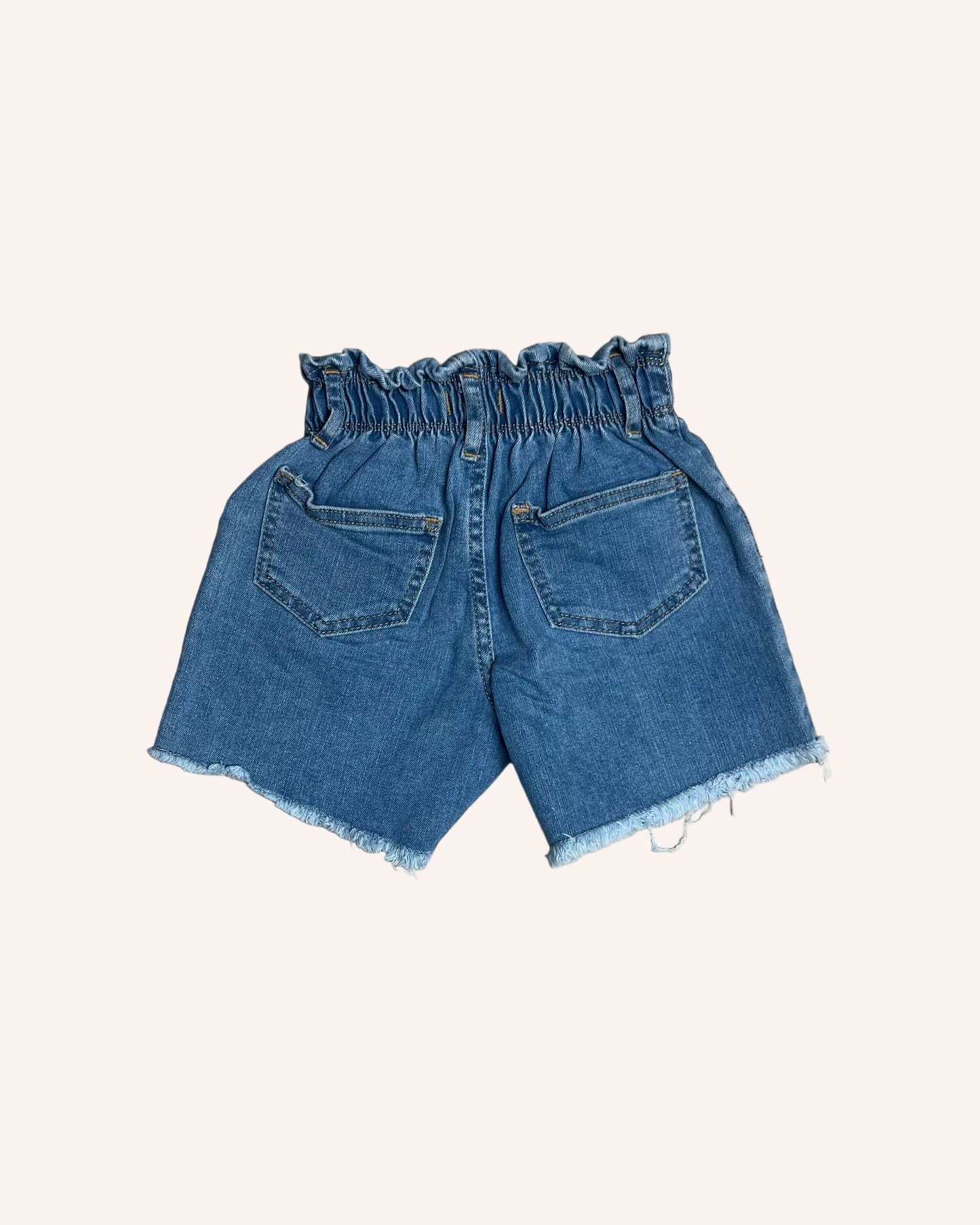 Denim Zara Shorts