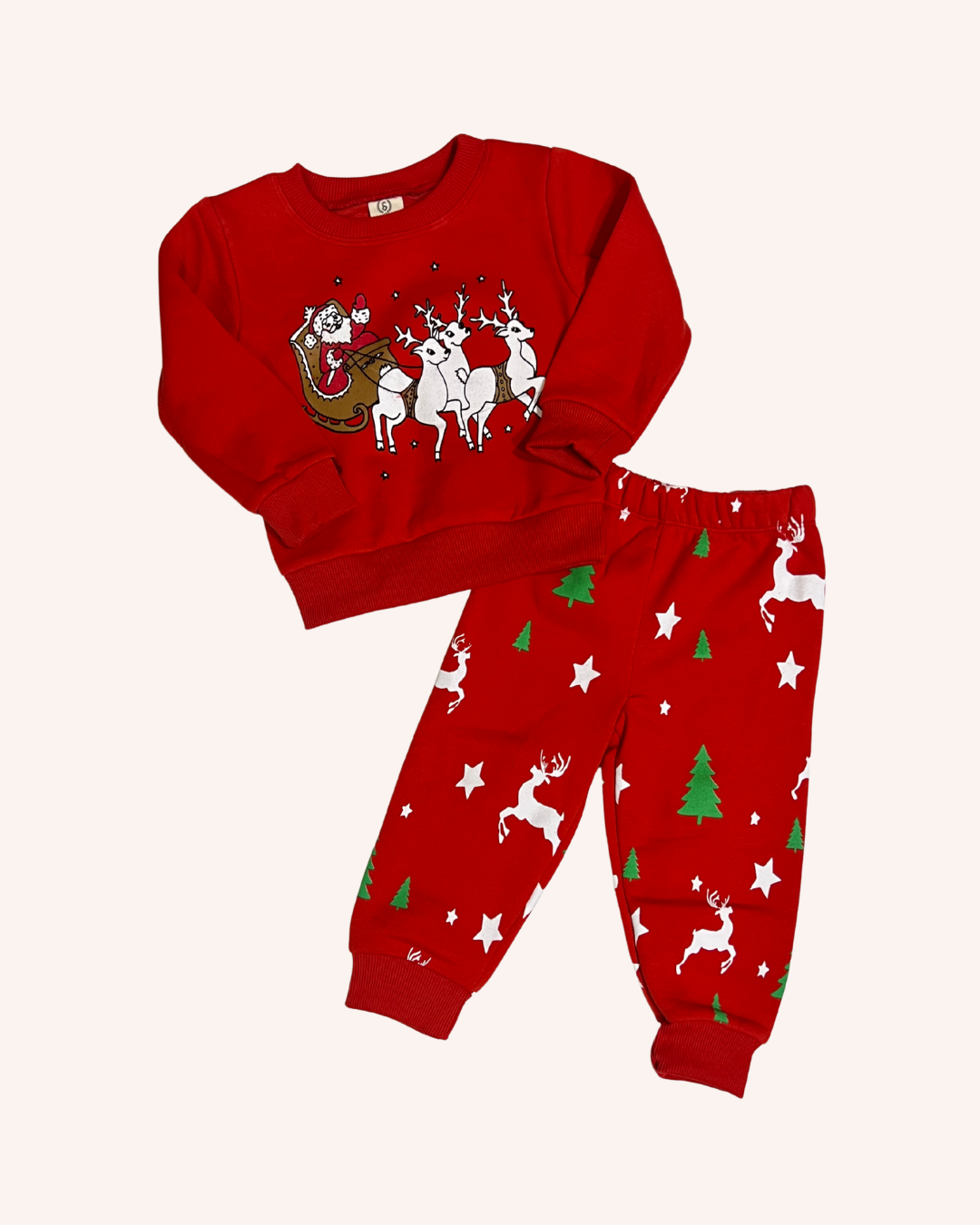 Santa's Reindeers Set