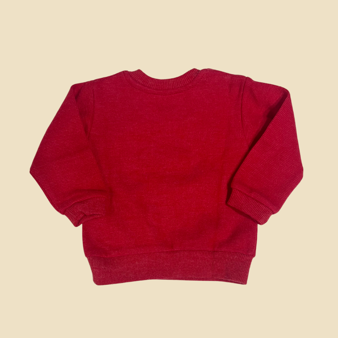 Shy Teddy Bear Sweatshirt