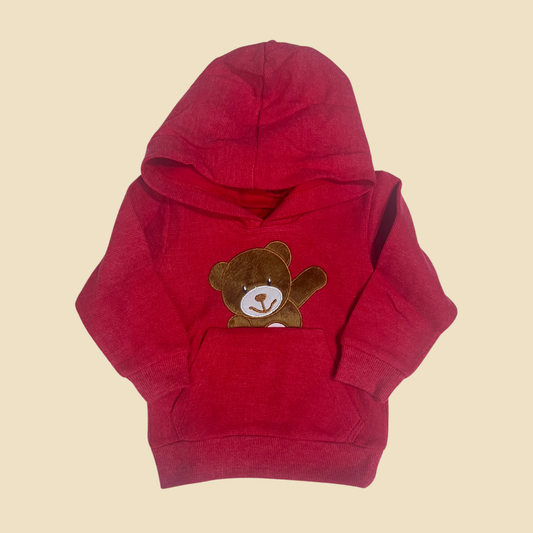 Bear Hoodie