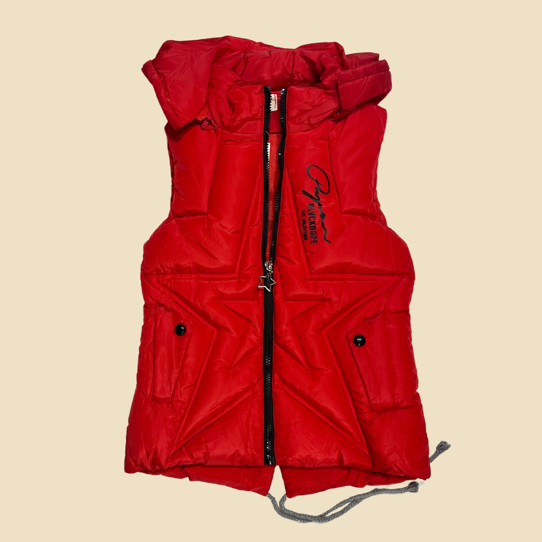 Waterproof Hooded Vest
