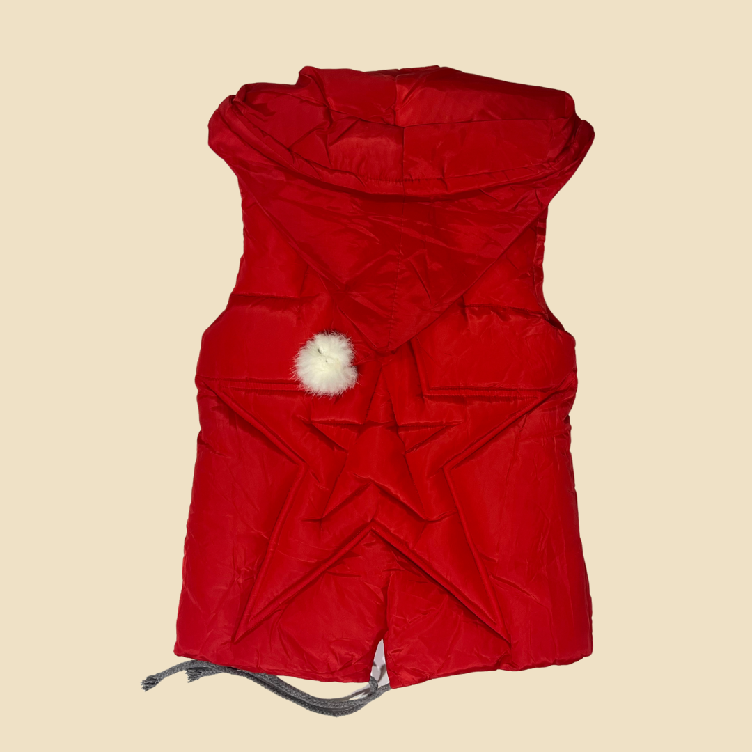 Waterproof Hooded Vest