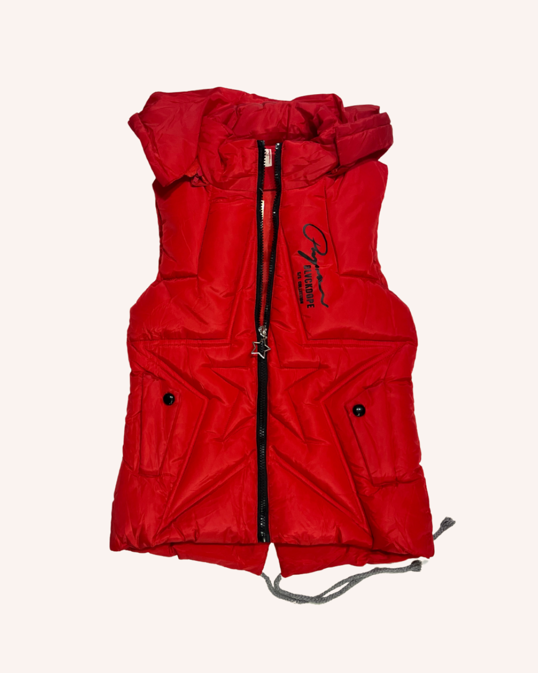 Waterproof Hooded Vest