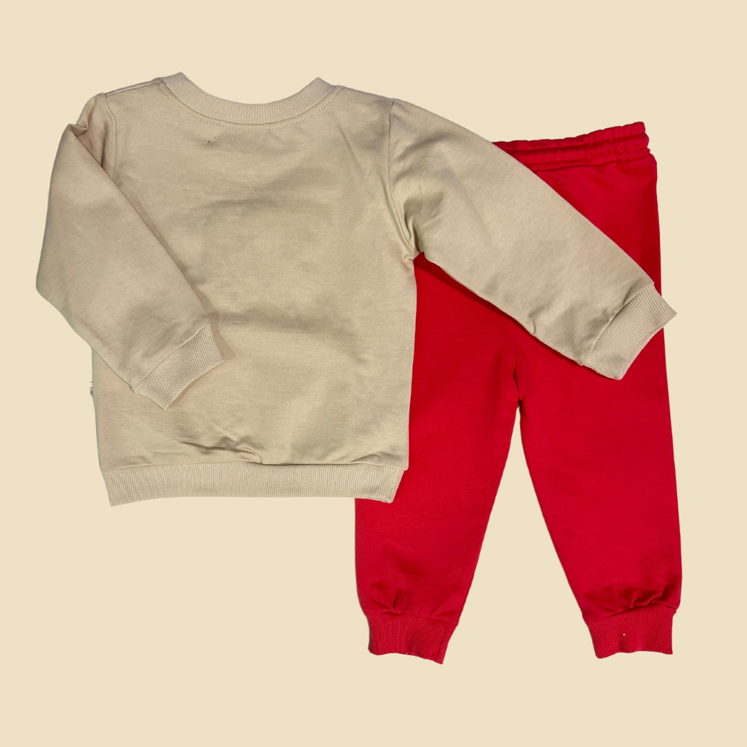 Bear Set