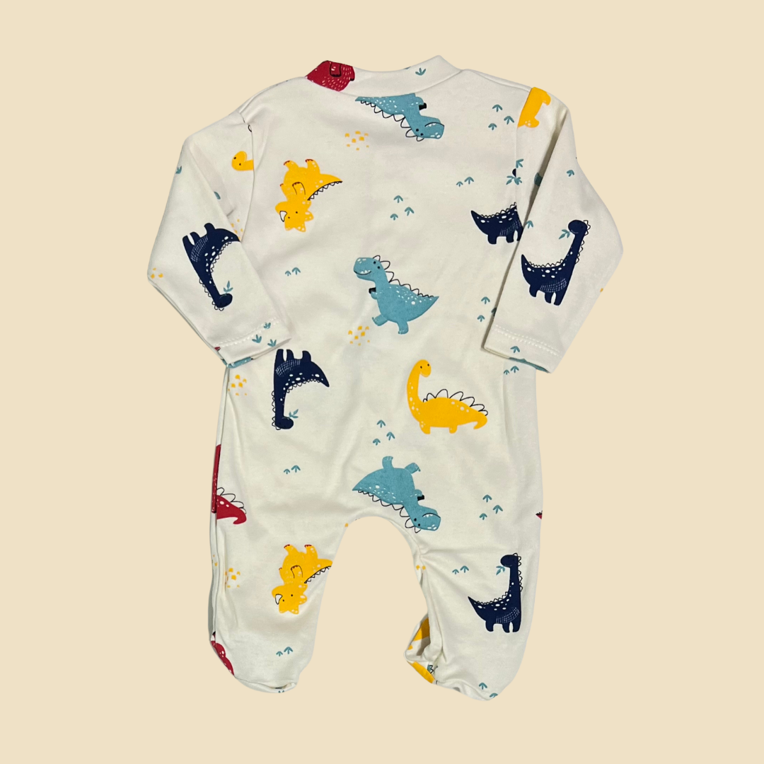 Dinosaur Overall