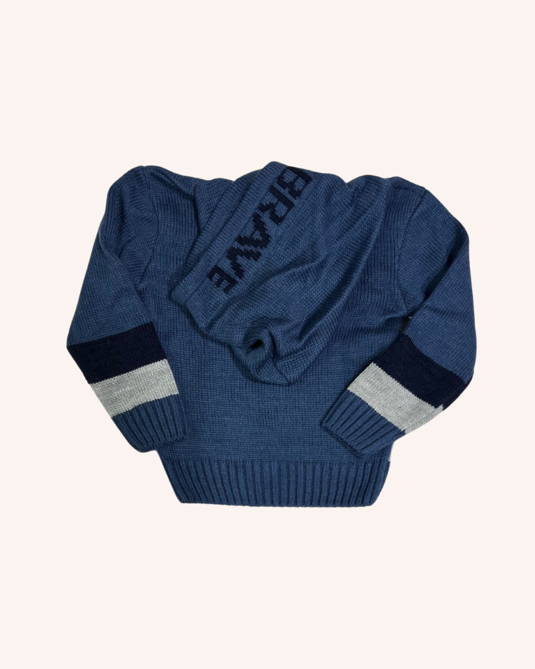 Brave Sweater Hoodie