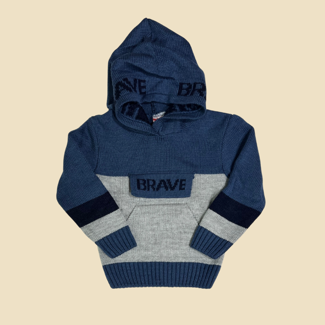 Brave Sweater Hoodie