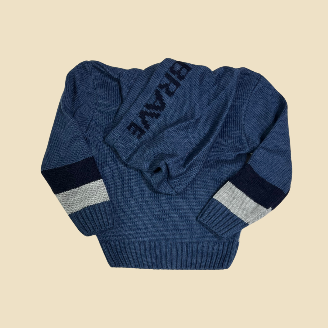 Brave Sweater Hoodie