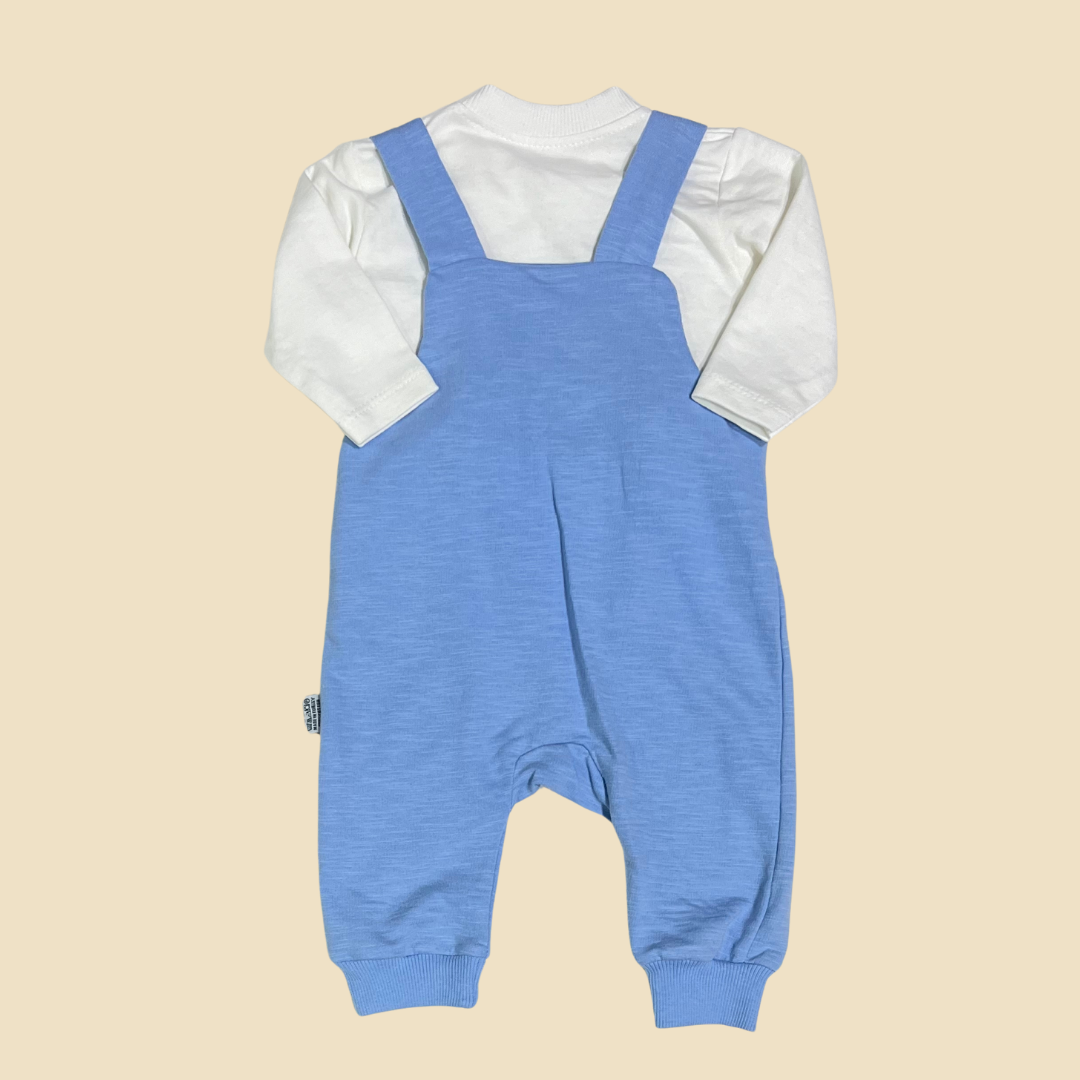 Mickey Overall