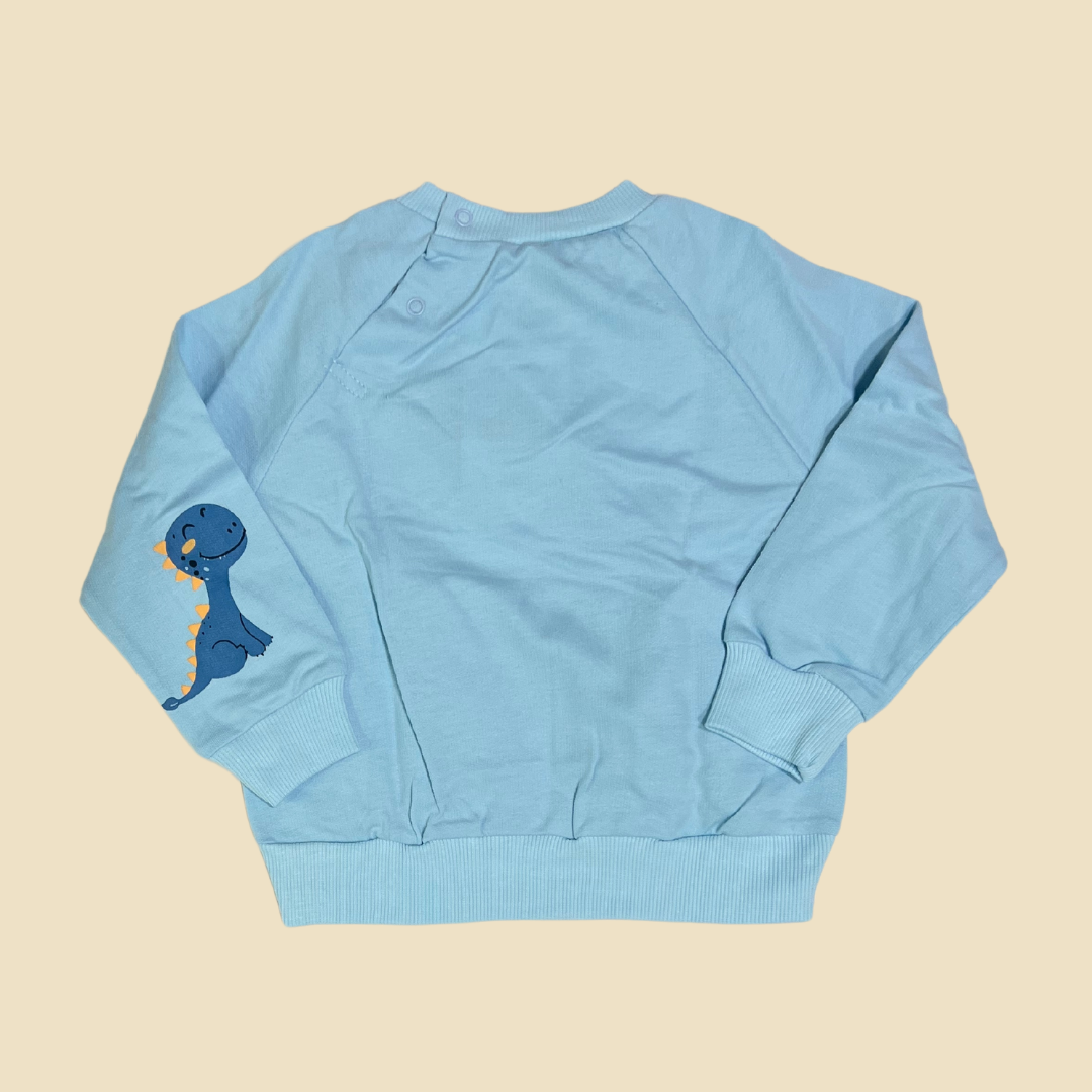Blue Dino Top