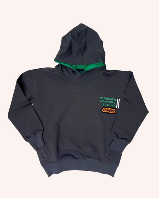 Grey Hoodie