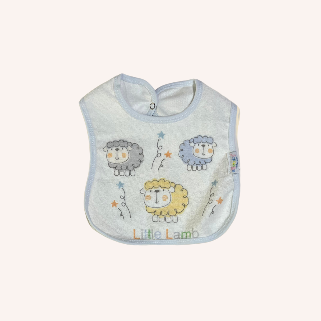 Baby Boy Bibs