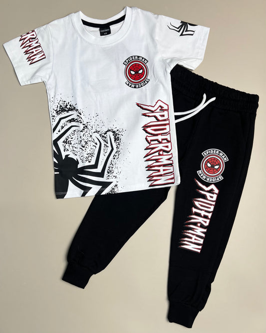 SpiderMan Set