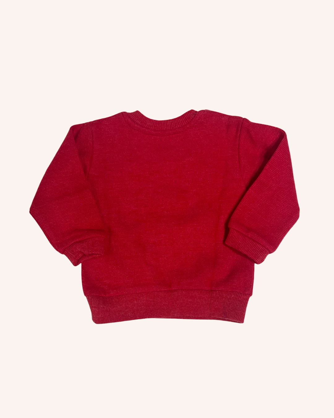 Shy Teddy Bear Sweatshirt